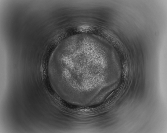 X0000095940653200802011042