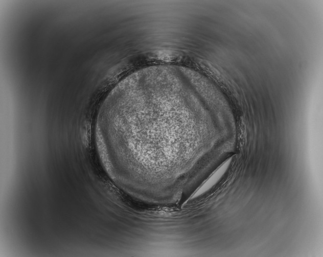 X0000095940656200802011042