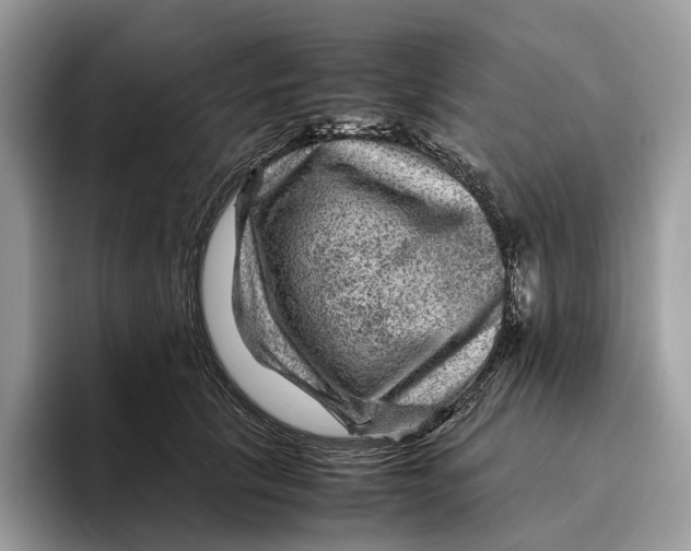 X0000095940657200802011042