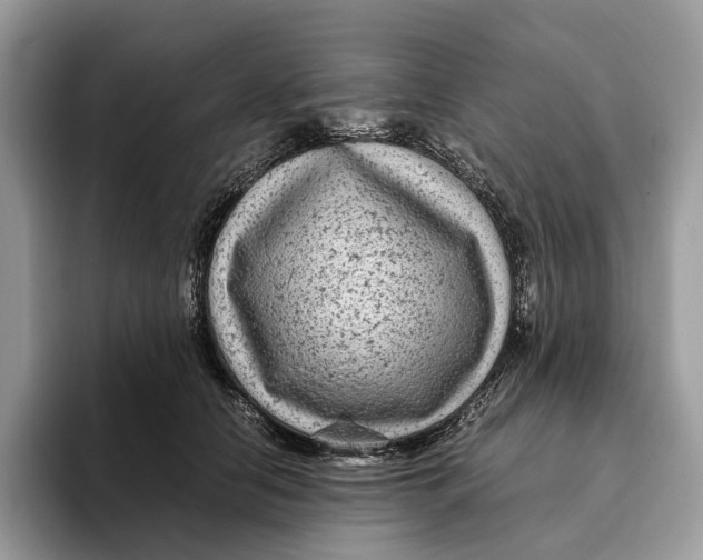 X0000095940658200802011042