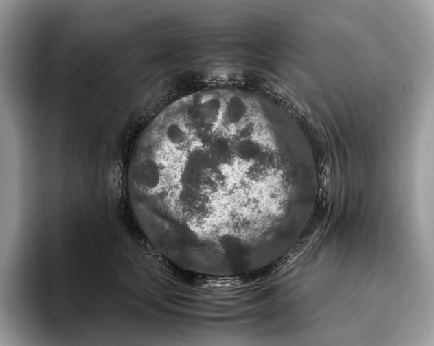 X0000095940659200802011042