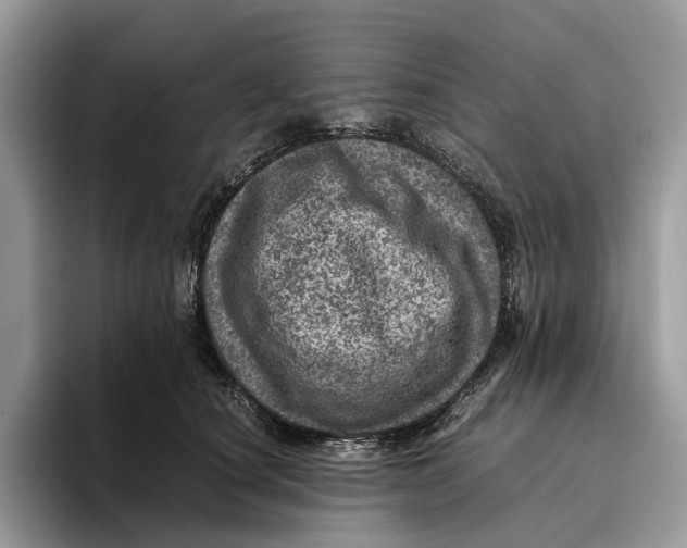 X0000095940660200802011042