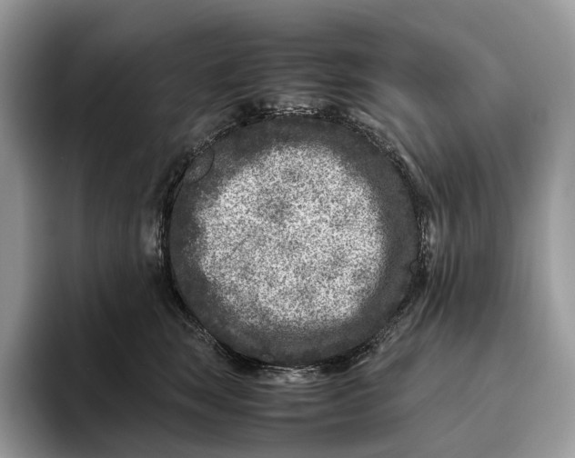 X0000095940663200802011042