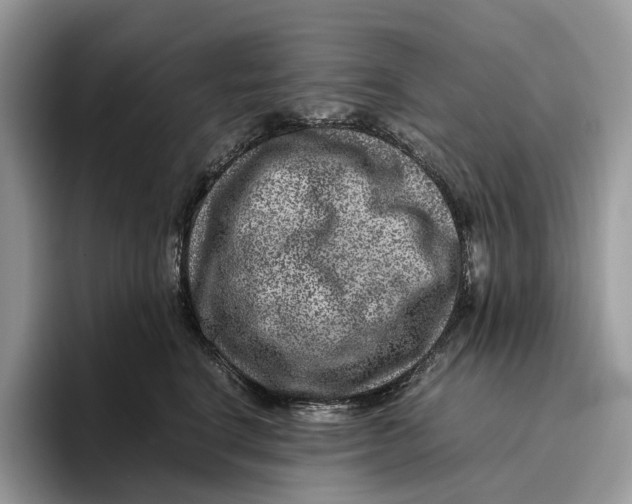 X0000095940664200802011042