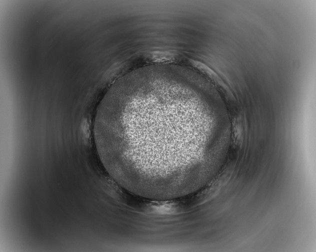 X0000095940667200802011042