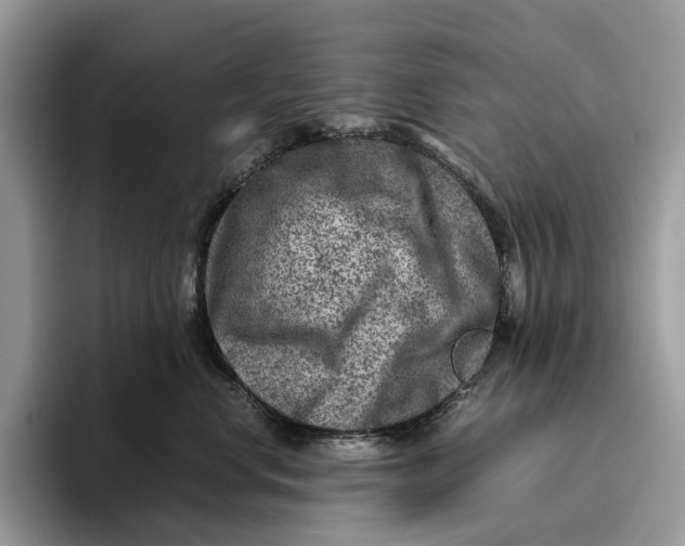 X0000095940668200802011043