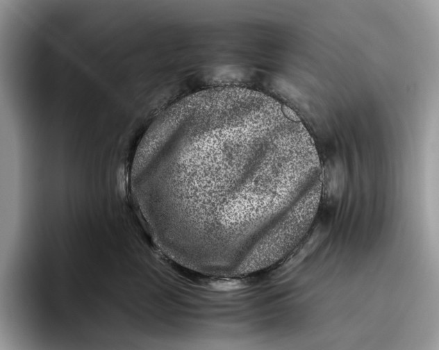 X0000095940669200802011043