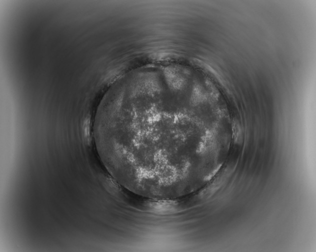 X0000095940670200802011043