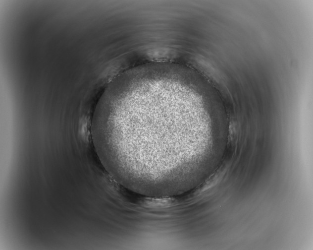 X0000095940671200802011043