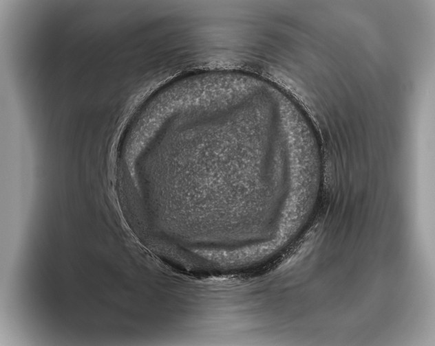 X0000095940673200802011042