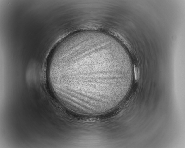 X0000095940675200802011042