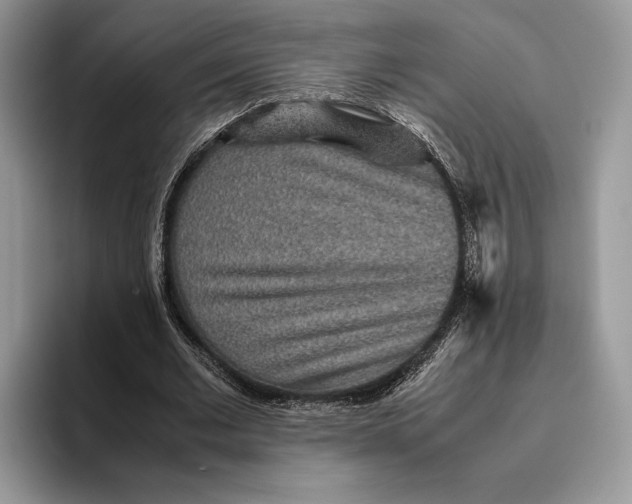 X0000095940677200802011042