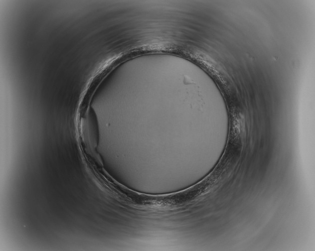 X0000095940678200802011042