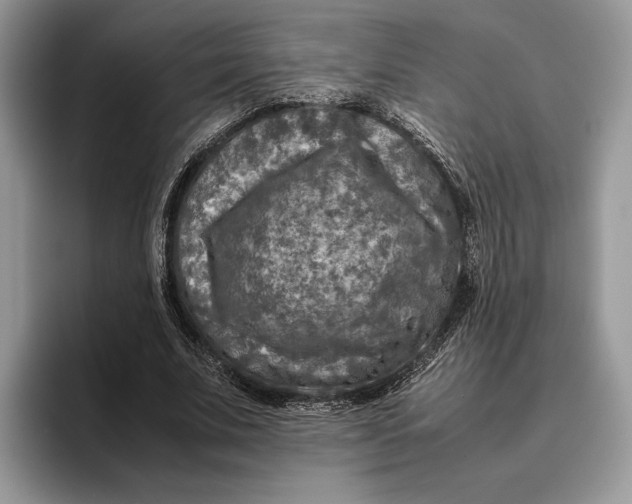 X0000095940679200802011042