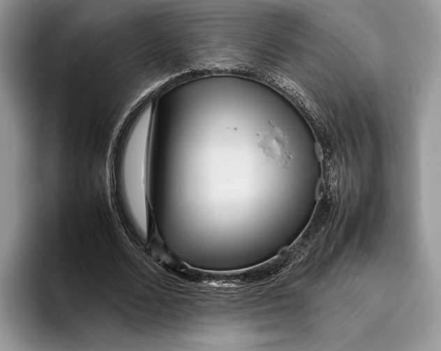 X0000095940680200802011042