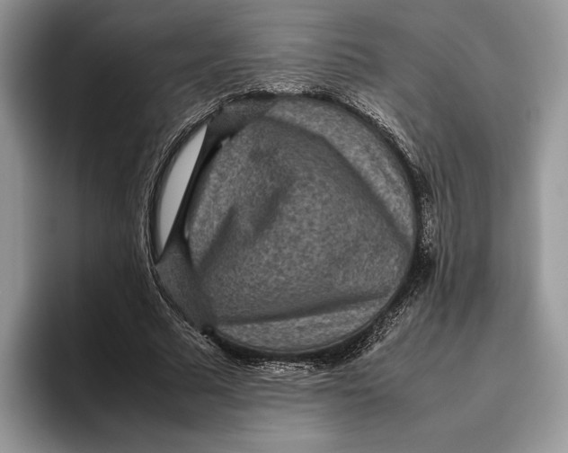 X0000095940681200802011042