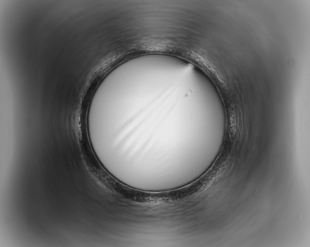 X0000095940682200802011042