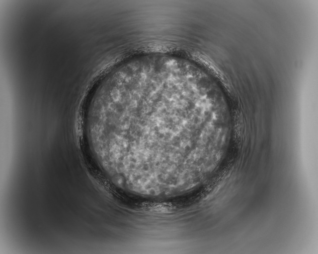 X0000095940683200802011042