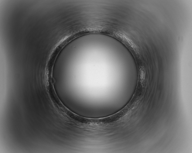 X0000095940684200802011042