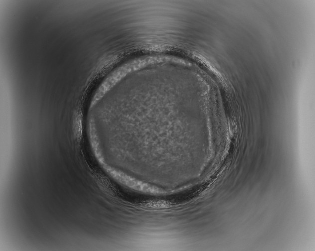 X0000095940685200802011042