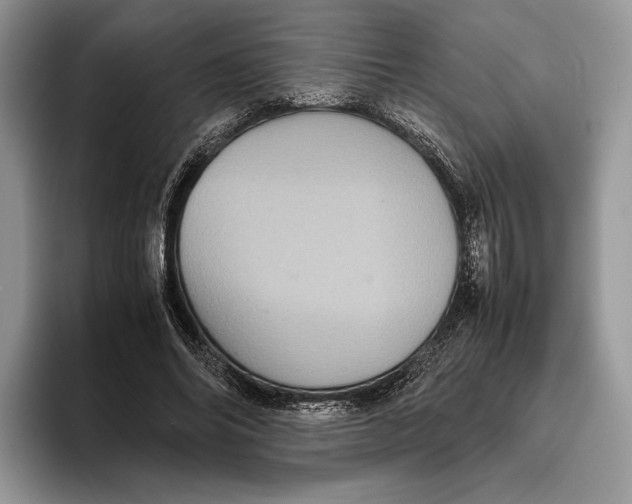 X0000095940686200802011042