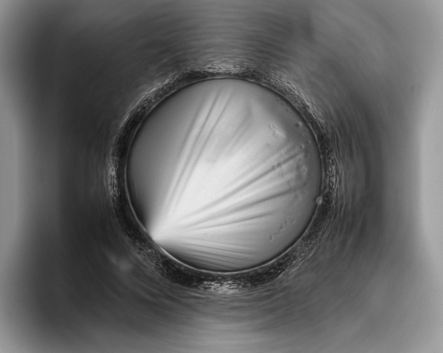 X0000095940688200802011042