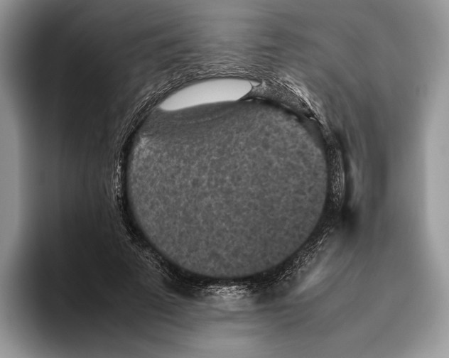 X0000095940689200802011042