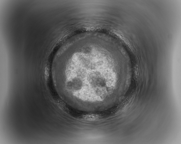 X0000095940691200802011042