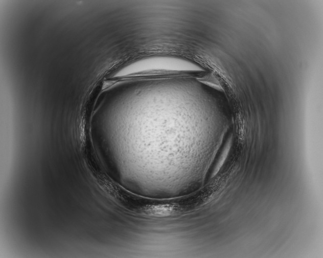 X0000095940692200802011042