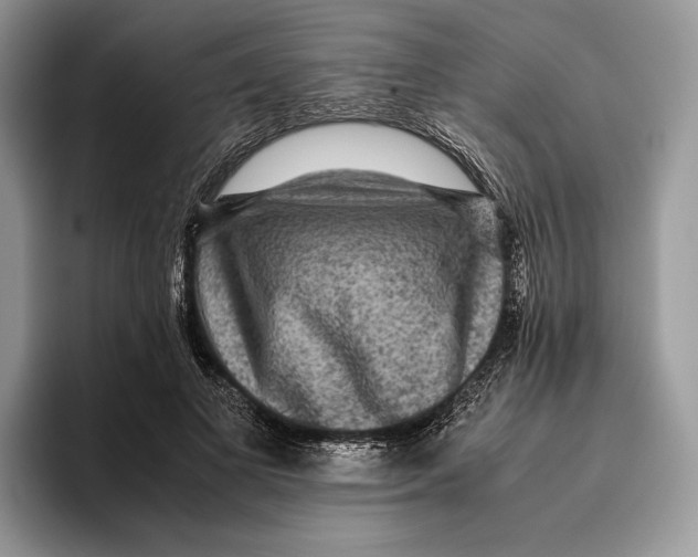 X0000095940693200802011042