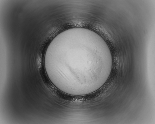 X0000095940694200802011042