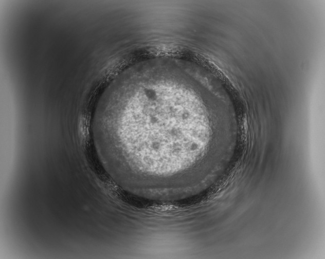 X0000095940695200802011042