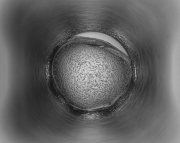 X0000095940696200802011042