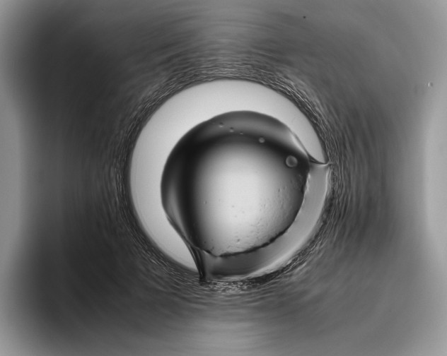 X0000095940697200802011042