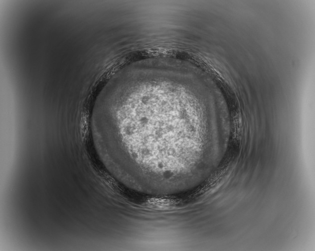 X0000095940699200802011042