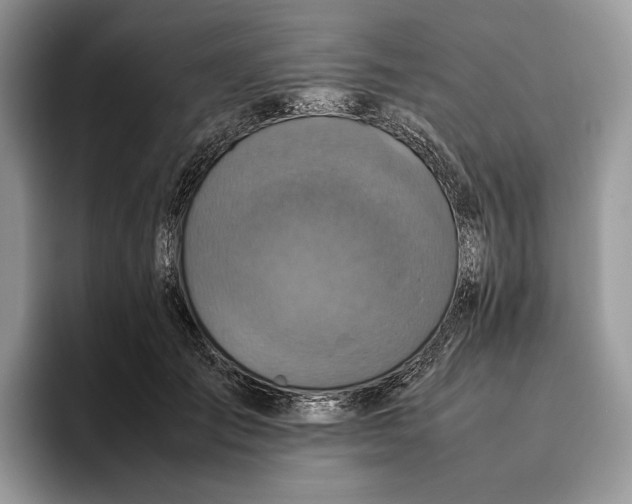 X0000095940701200802011042