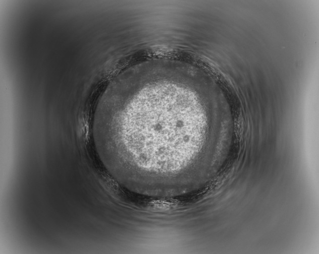 X0000095940703200802011042