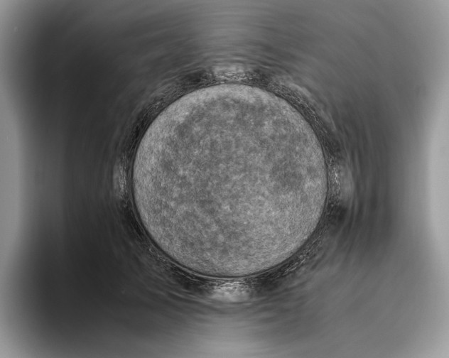 X0000095940705200802011042