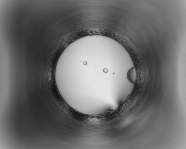 X0000095940706200802011042