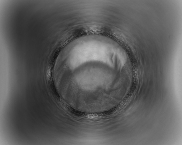 X0000095940709200802011041