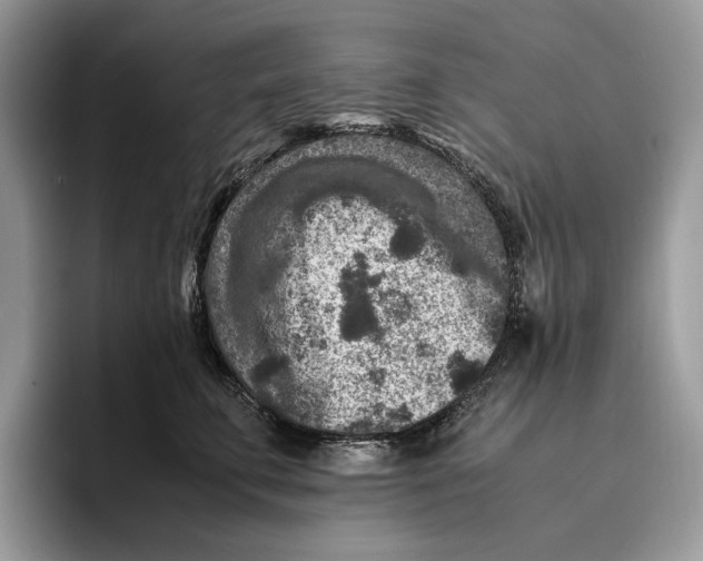 X0000095940711200802011041