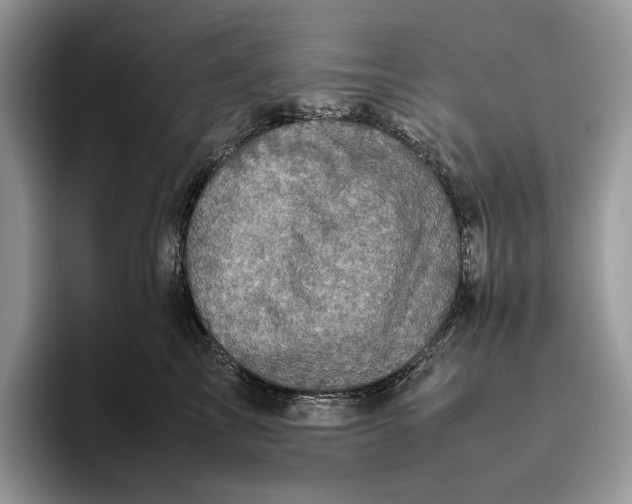 X0000095940713200802011041