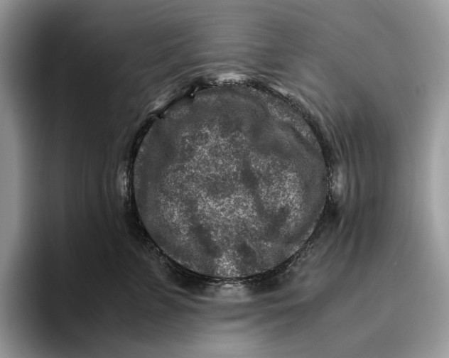 X0000095940715200802011041