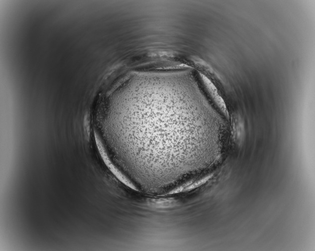 X0000095940716200802011041