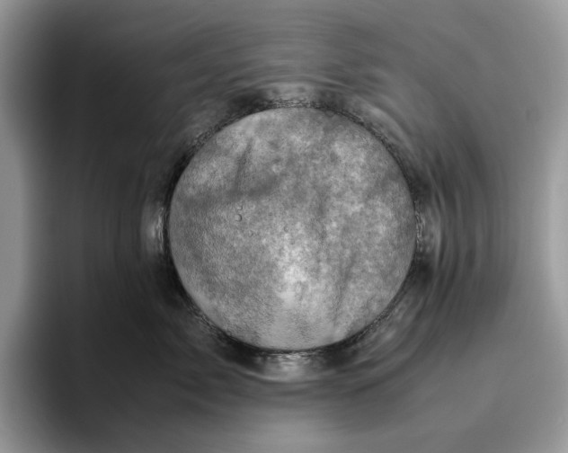 X0000095940717200802011041