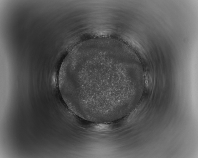 X0000095940718200802011041