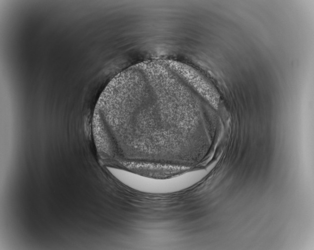 X0000095940719200802011041