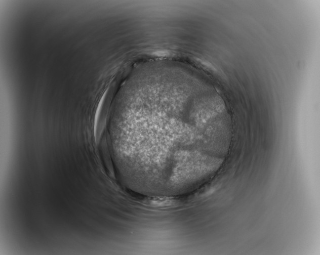 X0000095940720200802011041