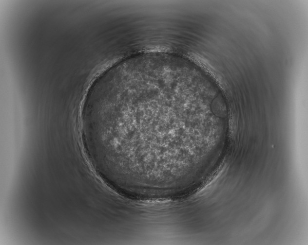 X0000095940721200802011041