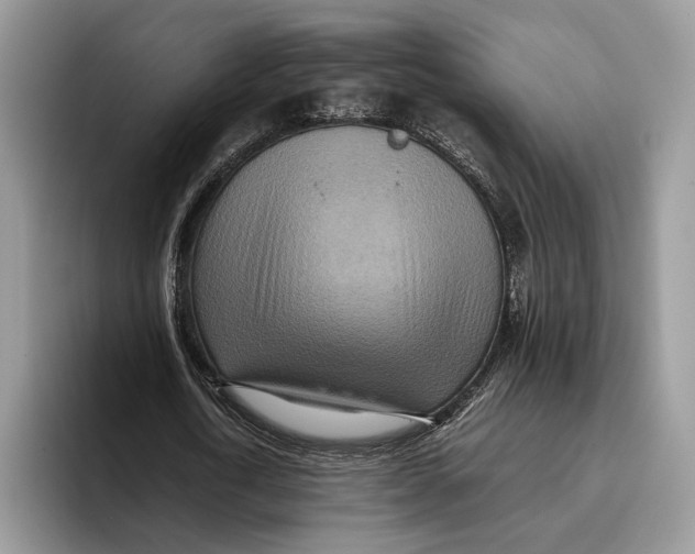 X0000095940722200802011041